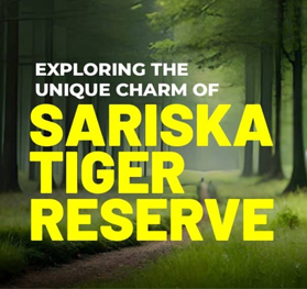 explore sariska